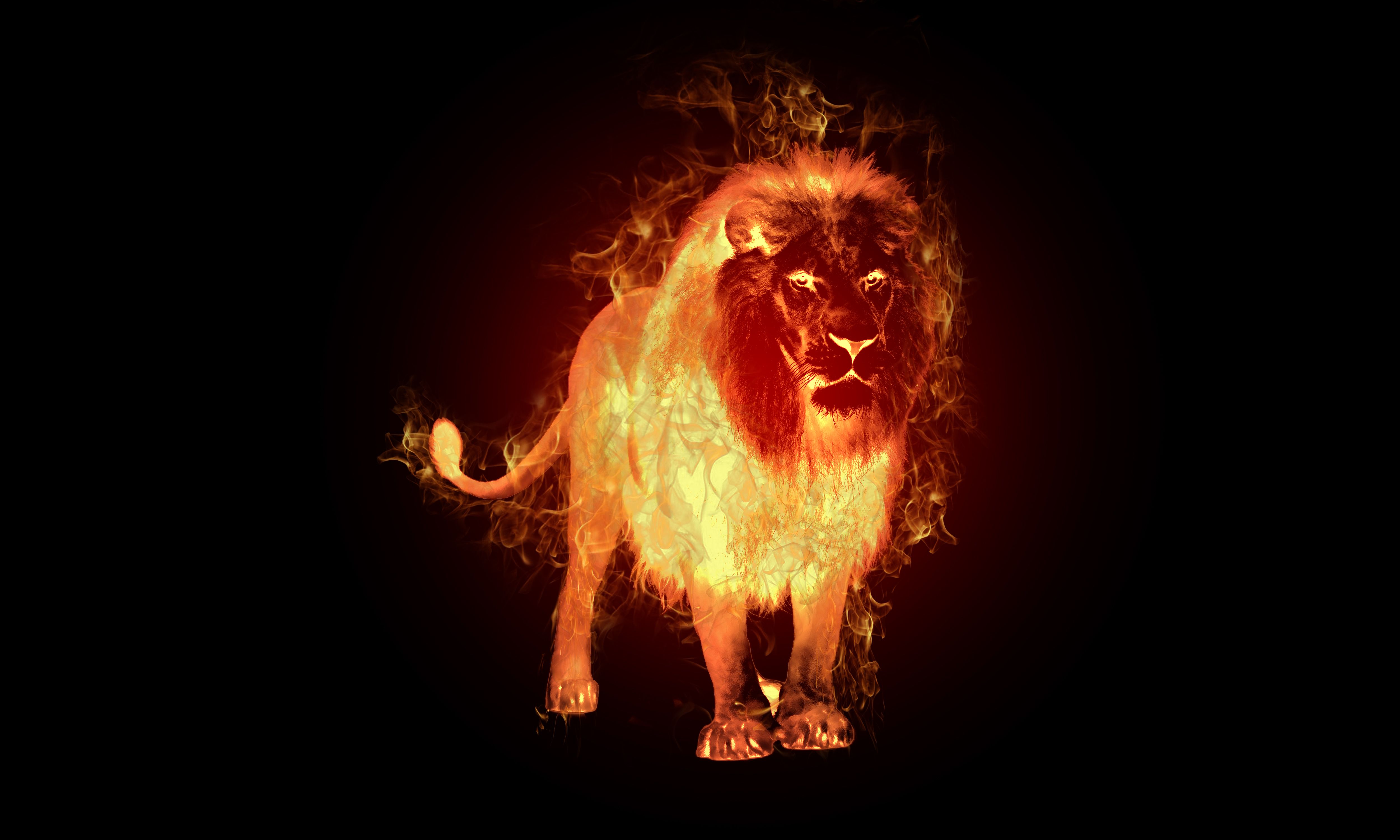 Cool Fire Lion Wallpapers