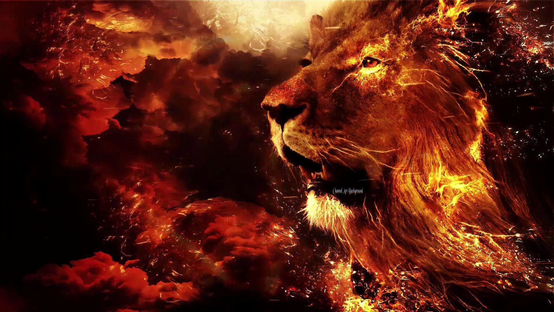 Cool Fire Lion Wallpapers