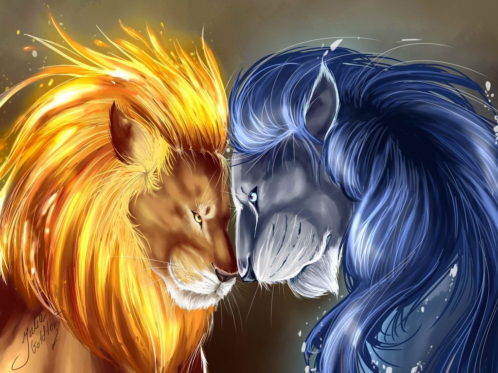 Cool Fire Lion Wallpapers