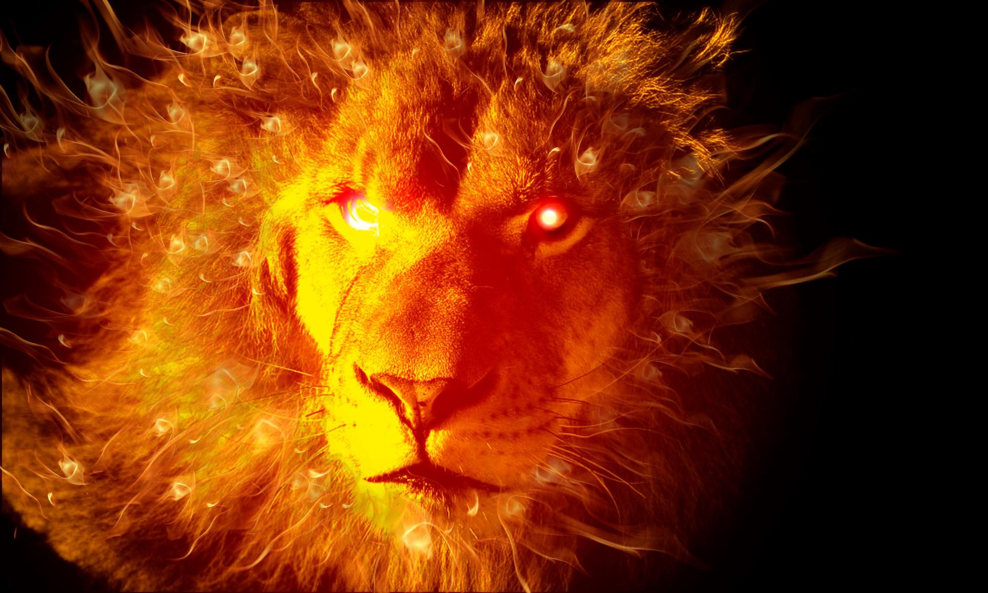 Cool Fire Lion Wallpapers