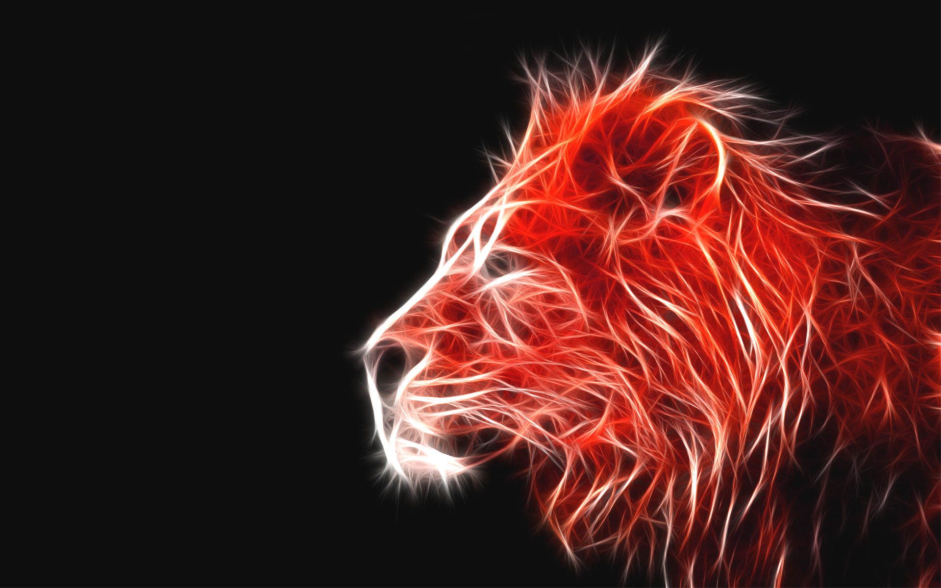 Cool Fire Lion Wallpapers