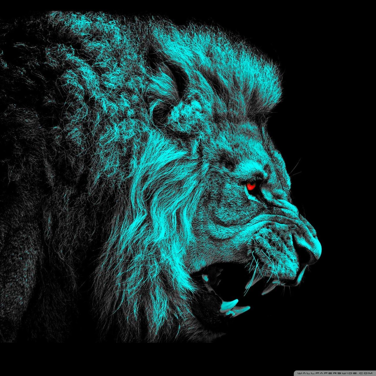 Cool Fire Lion Wallpapers