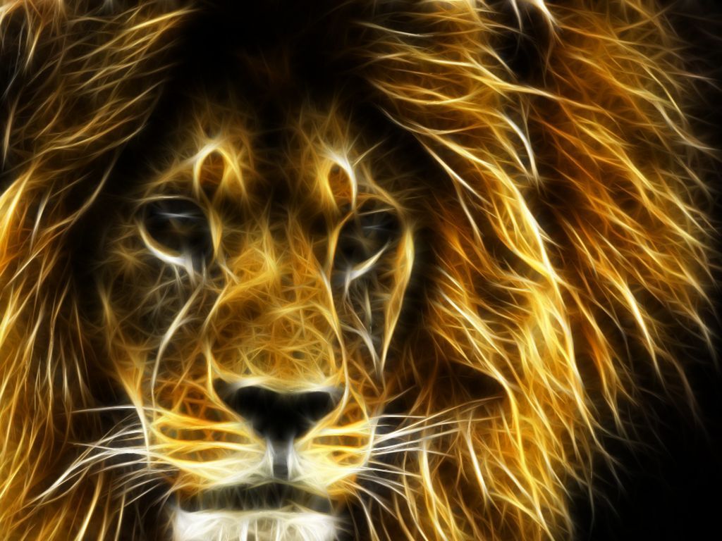 Cool Fire Lion Wallpapers