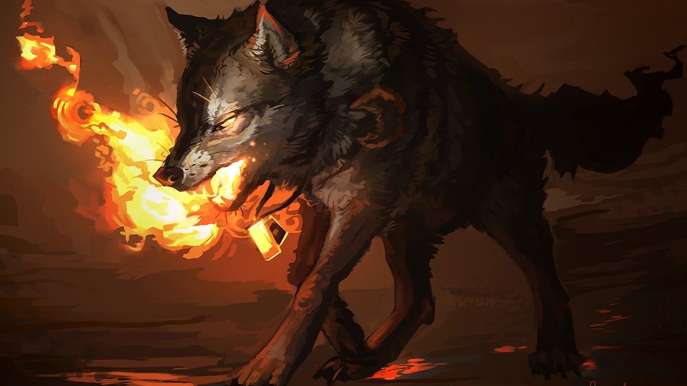 Cool Fire WolfWallpapers