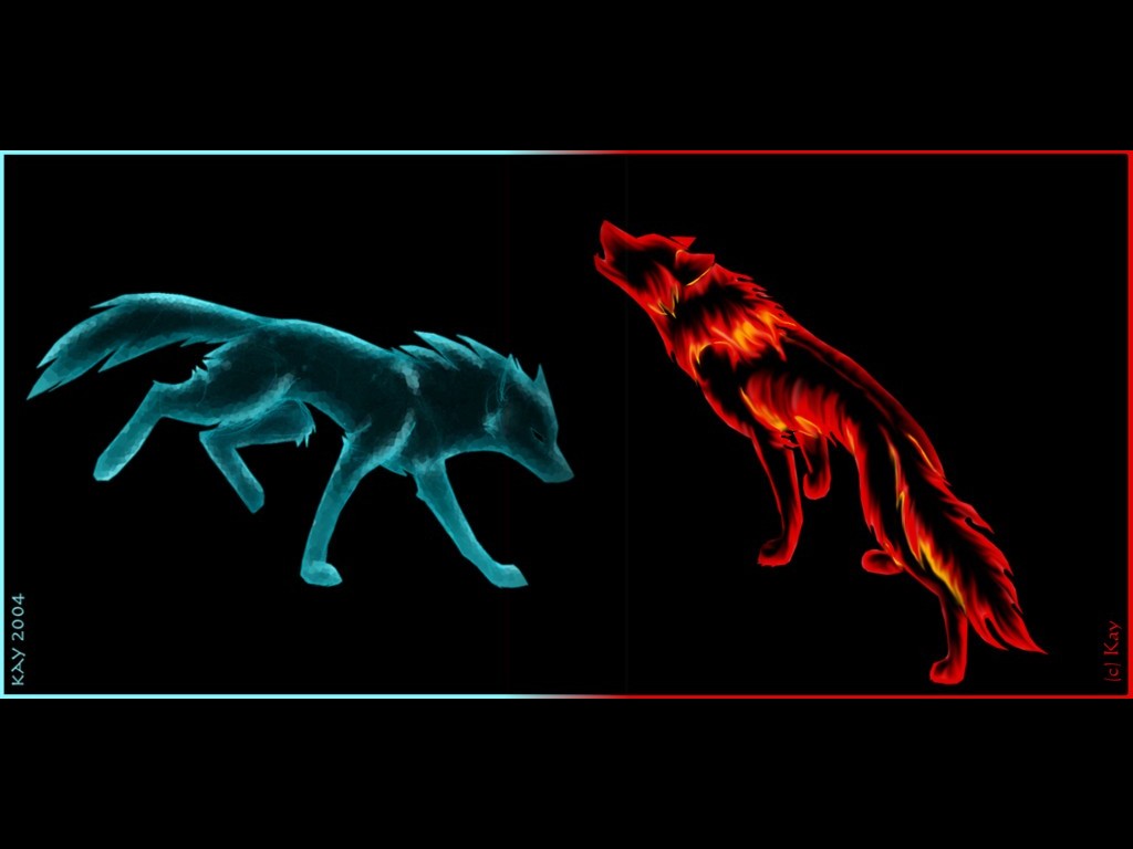 Cool Fire WolfWallpapers