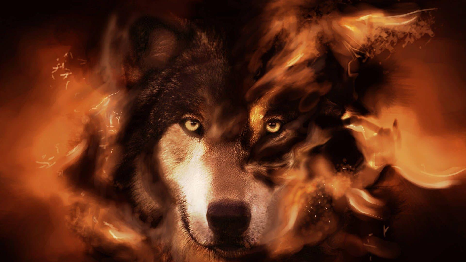 Cool Fire WolfWallpapers