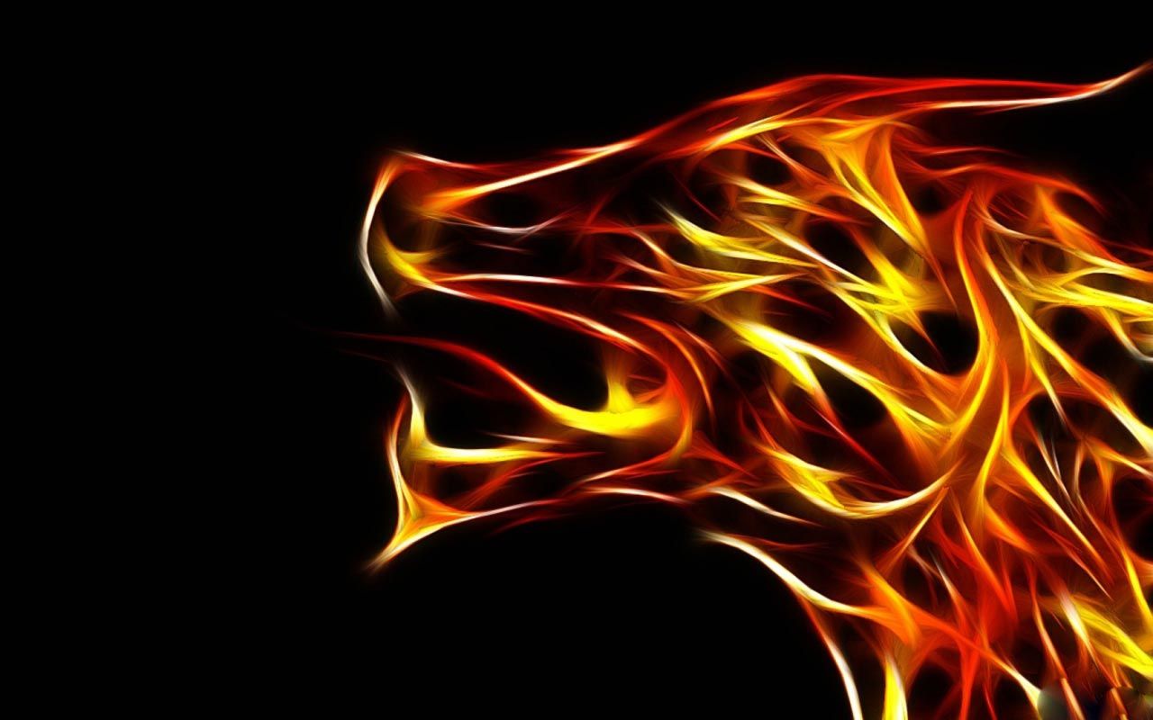 Cool Fire WolfWallpapers