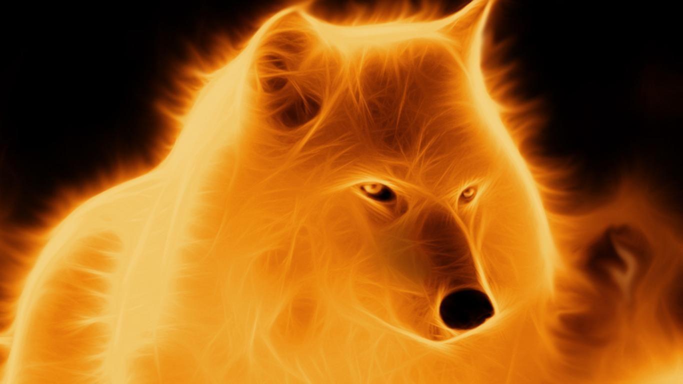 Cool Fire WolfWallpapers