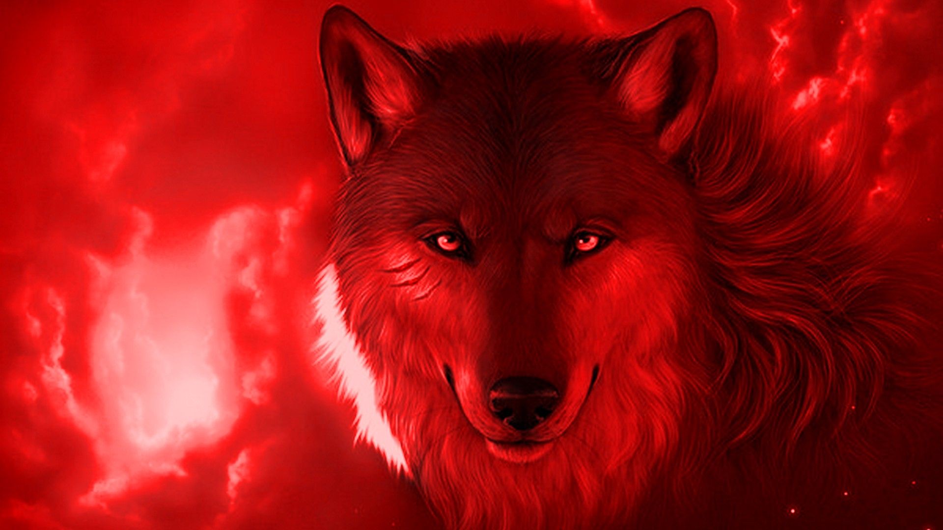 Cool Fire WolfWallpapers