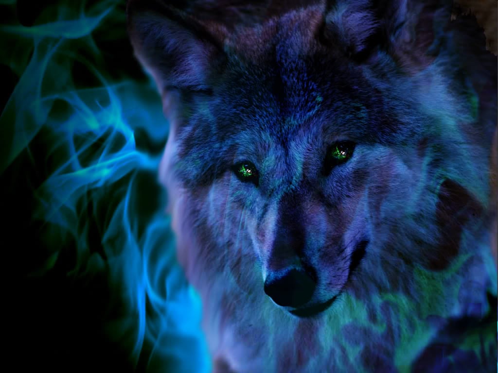 Cool Fire WolfWallpapers