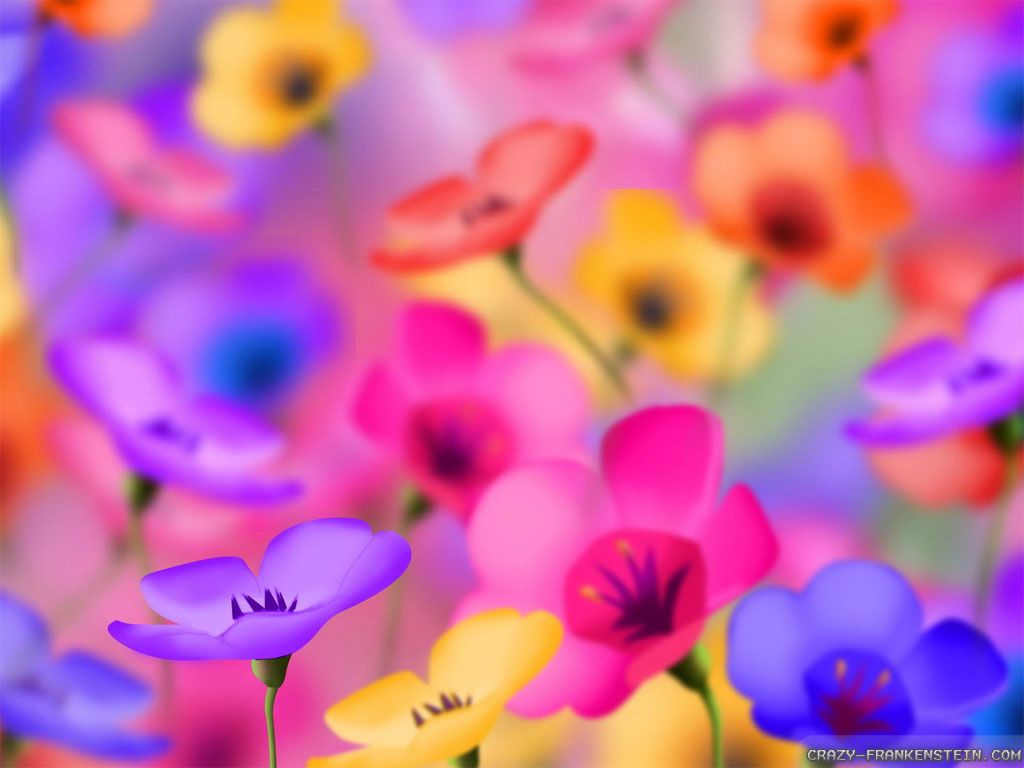 Cool Flower Wallpapers