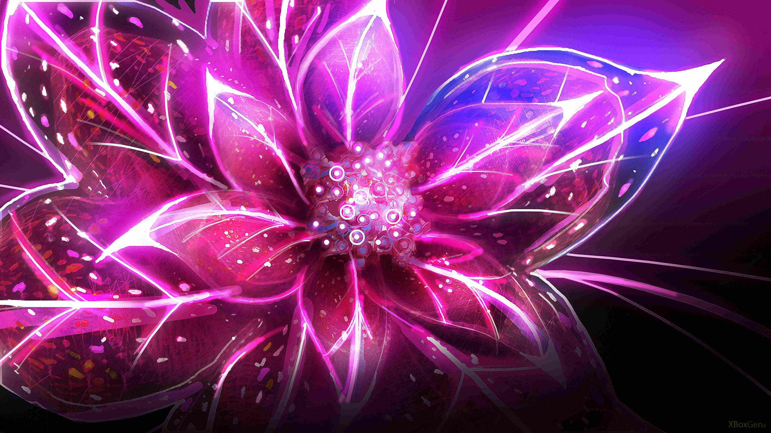 Cool FlowerWallpapers