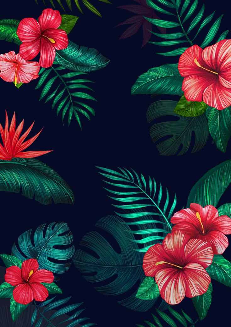 Cool FlowerWallpapers