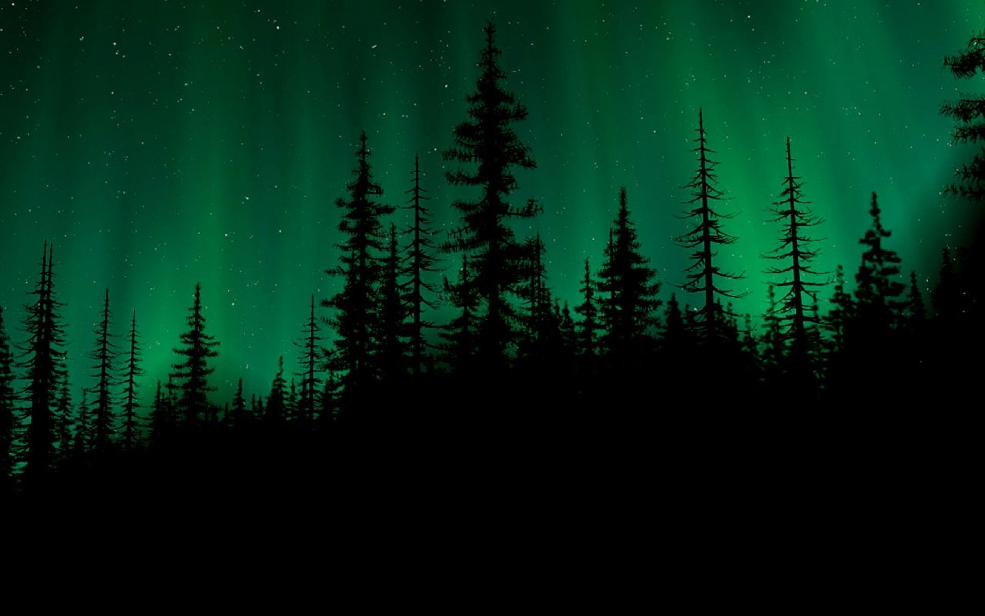 Cool Forest Wallpapers