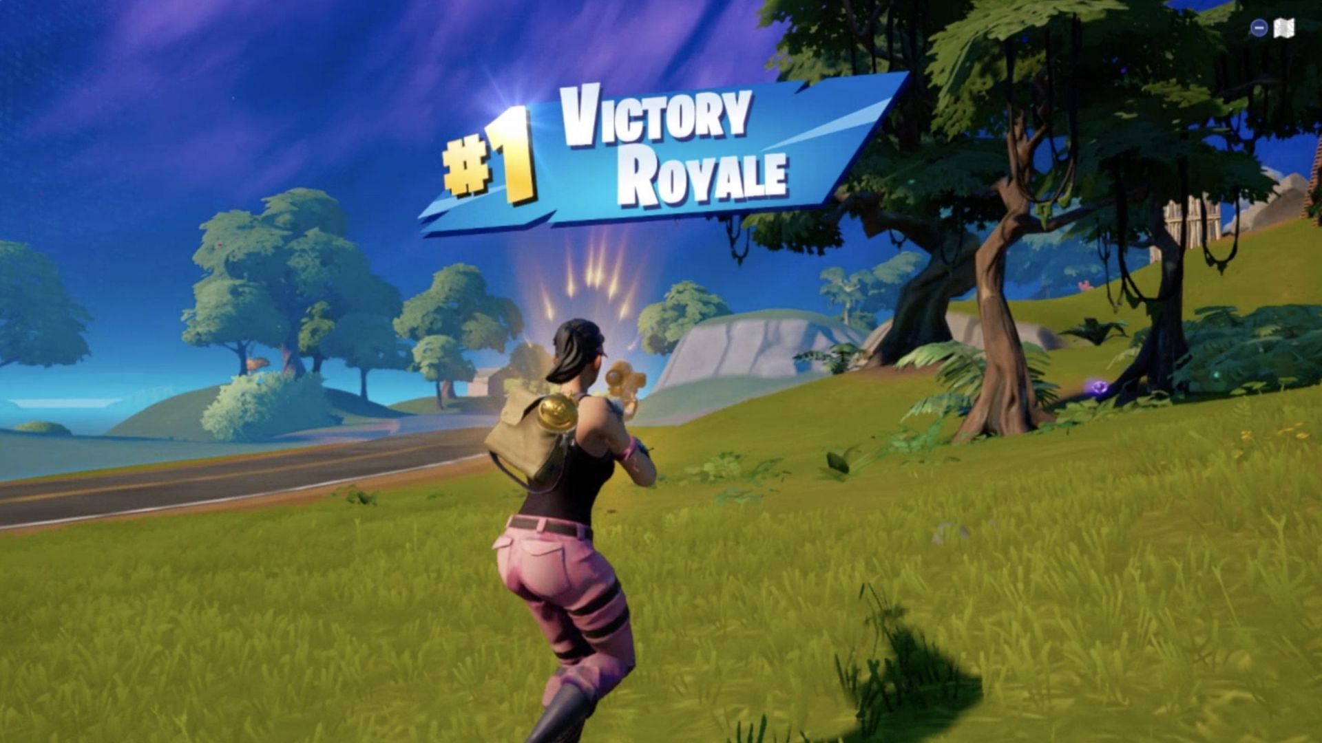 Cool Fortnite Victory RoyalWallpapers