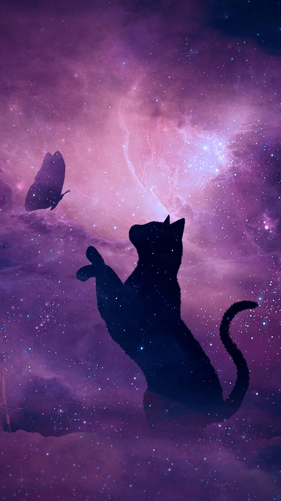 Cool Galaxy Cat Wallpapers