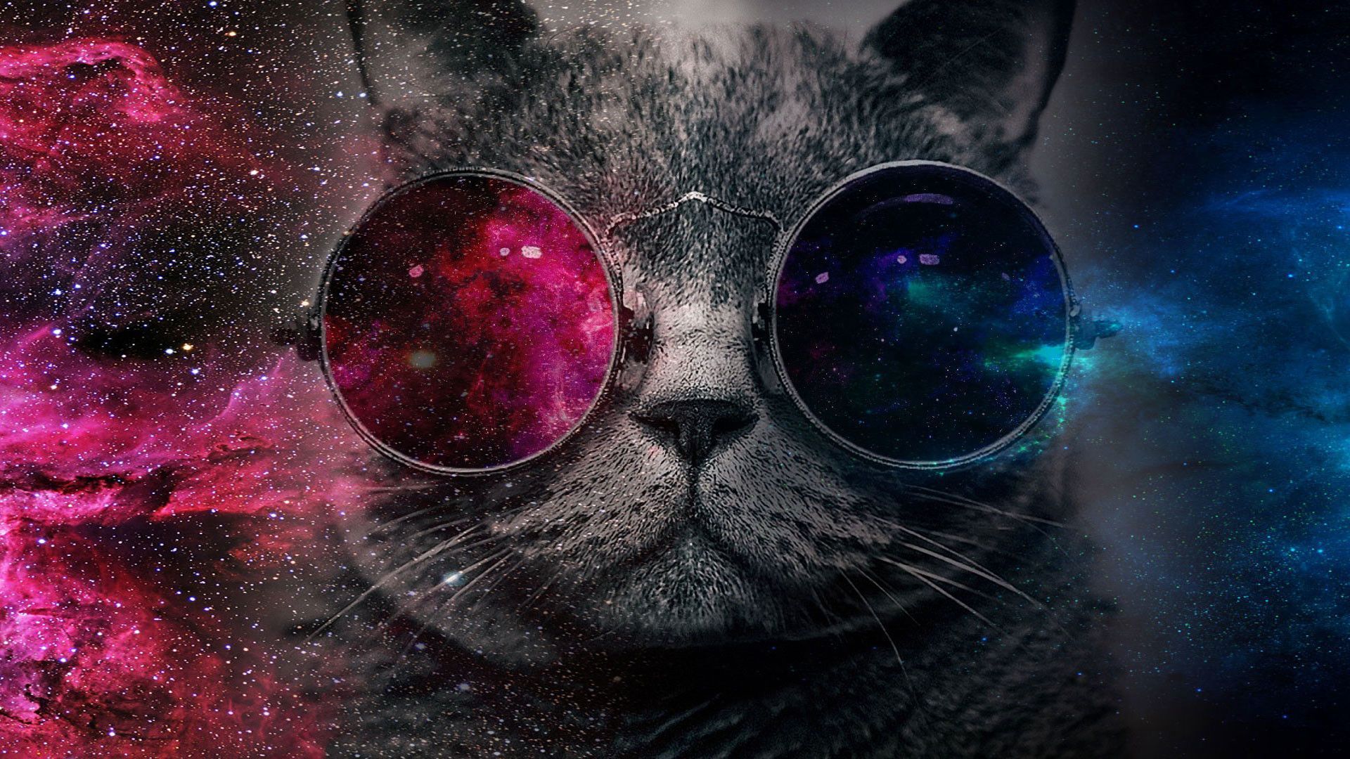 Cool Galaxy Cat Wallpapers