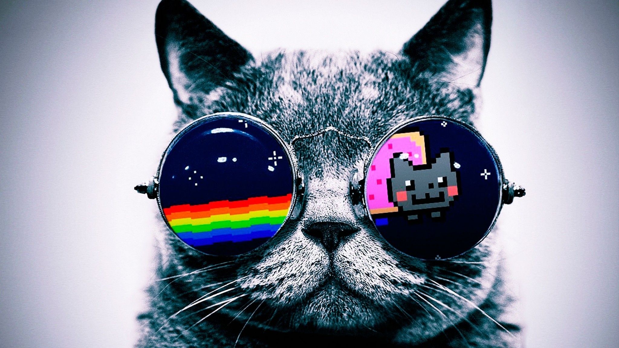 Cool Galaxy Cat Wallpapers