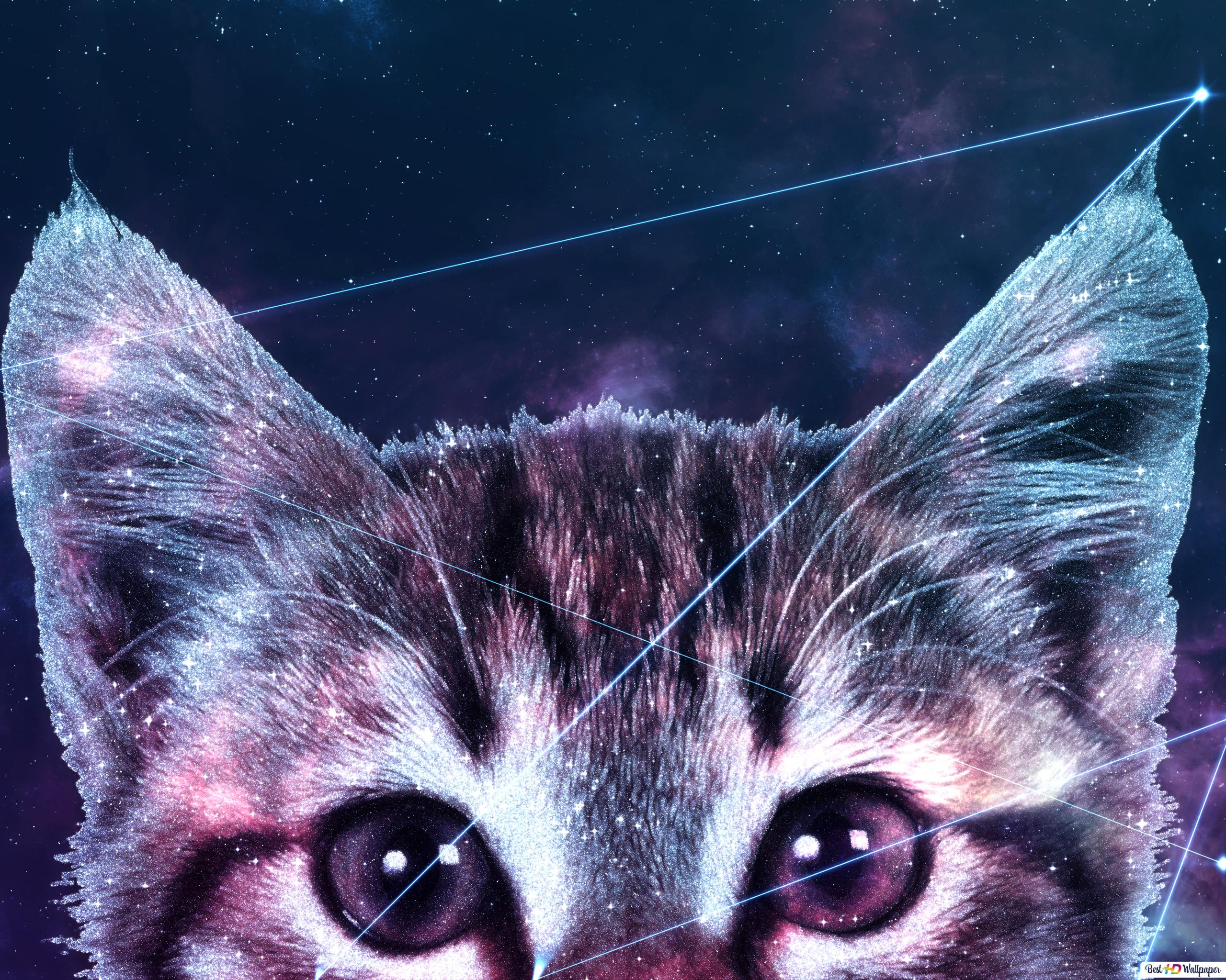 Cool Galaxy Cat Wallpapers