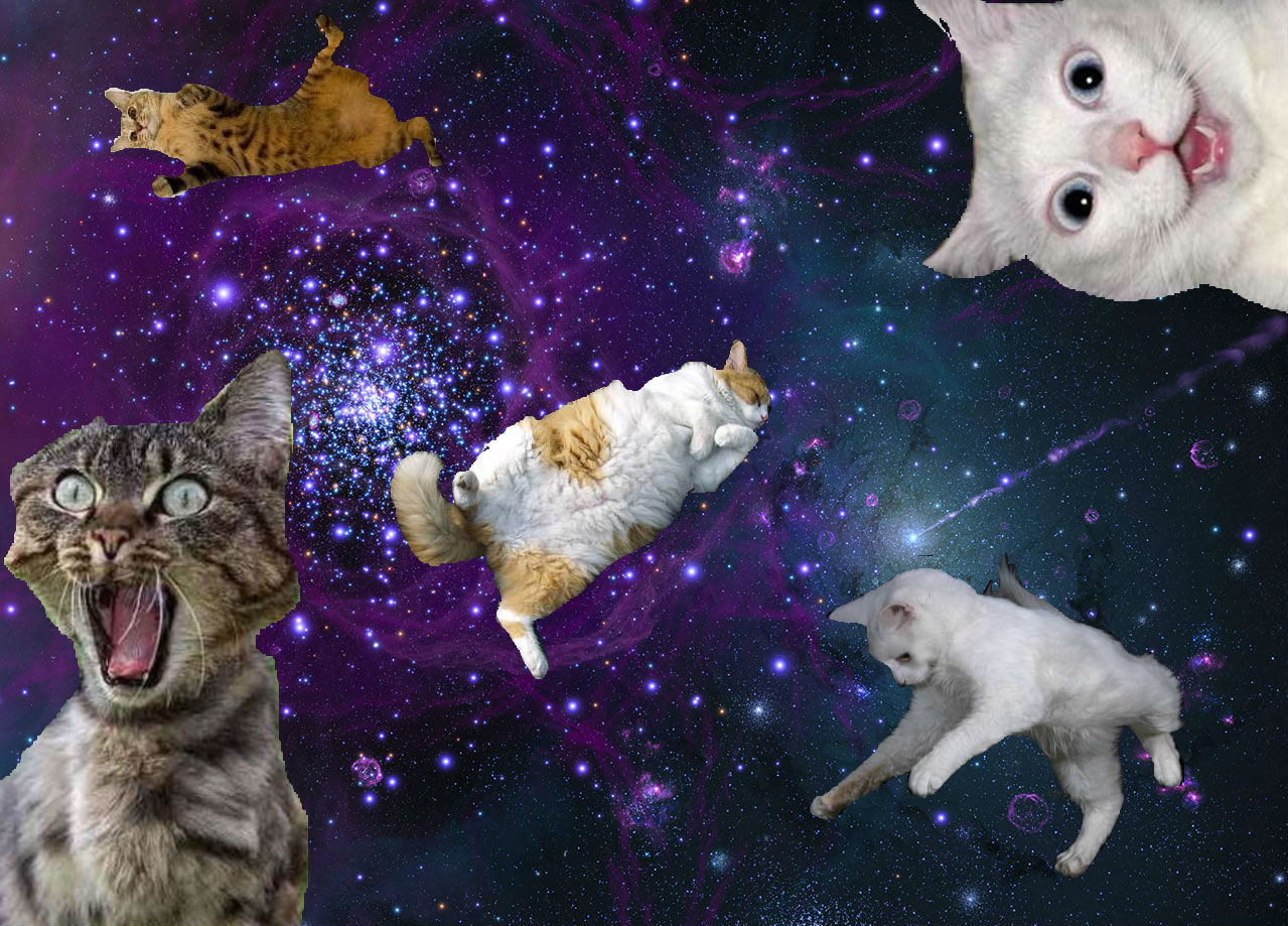 Cool Galaxy Cat Wallpapers