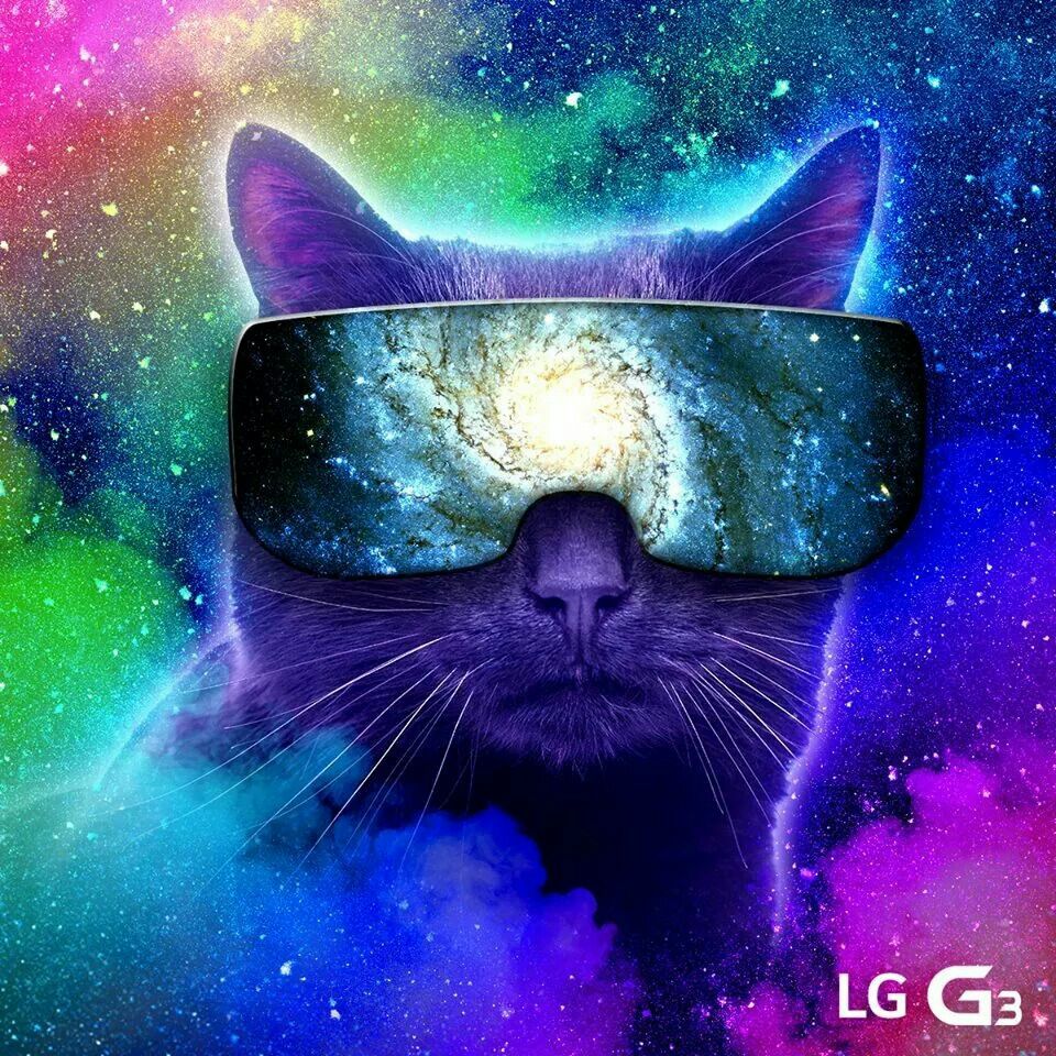 Cool Galaxy Cat Wallpapers