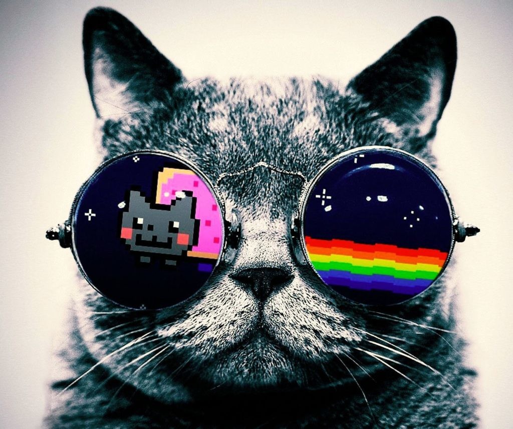 Cool Galaxy Cat Wallpapers