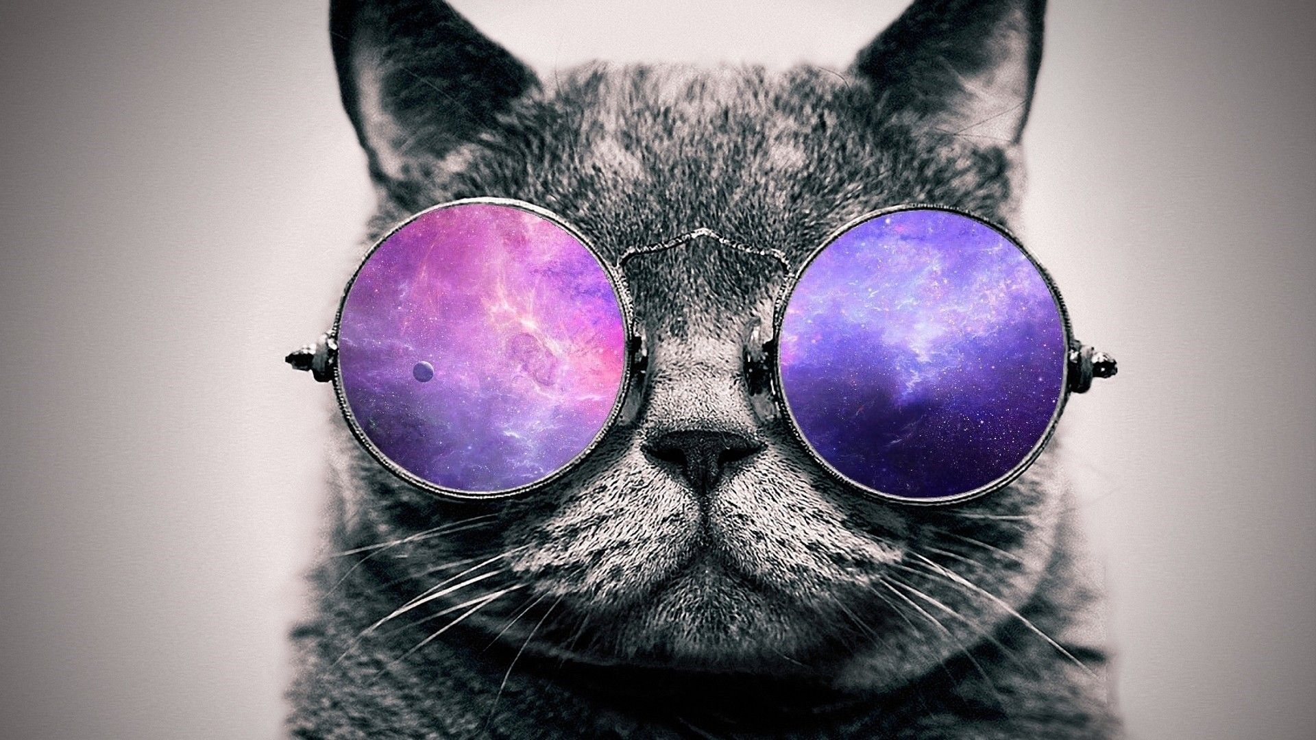 Cool Galaxy Cat Wallpapers