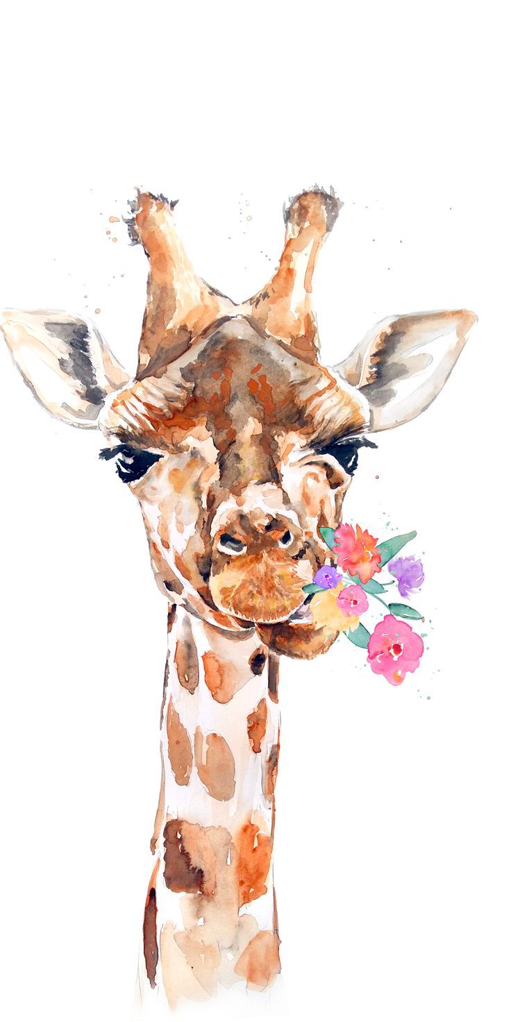 Cool Giraffe Wallpapers