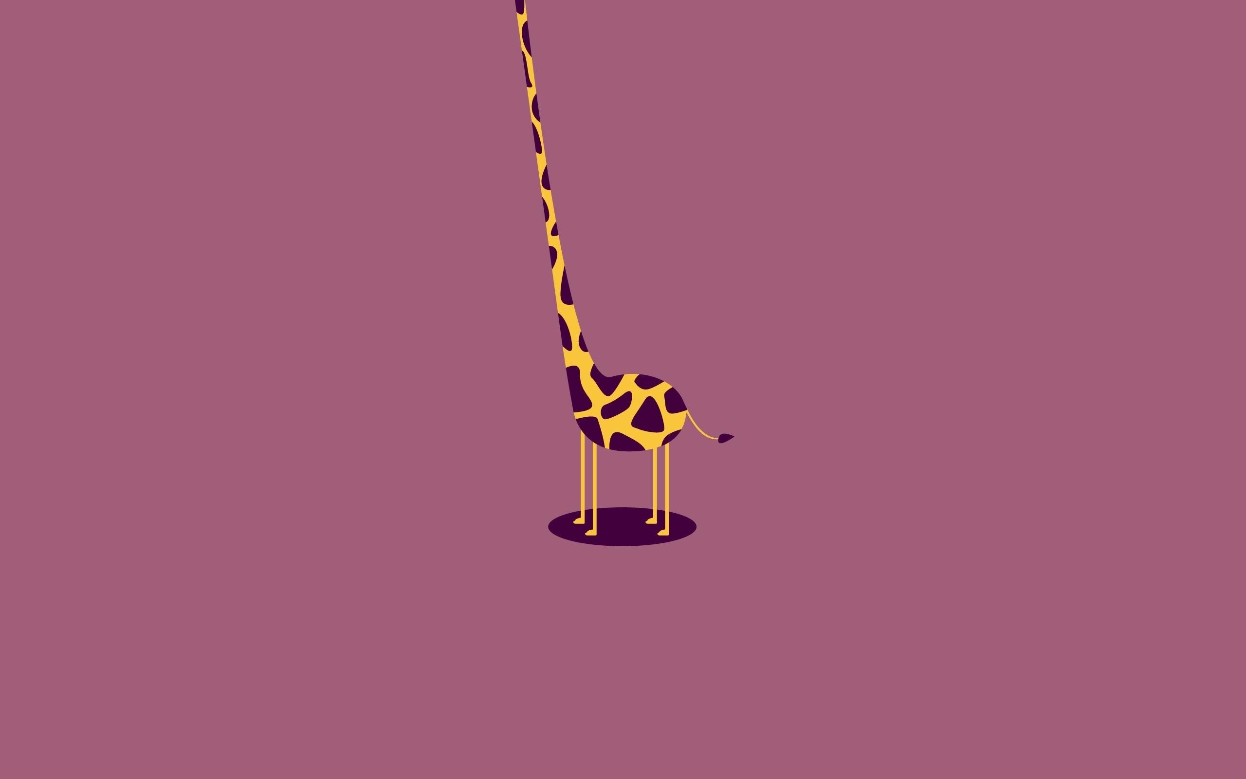 Cool Giraffe Wallpapers