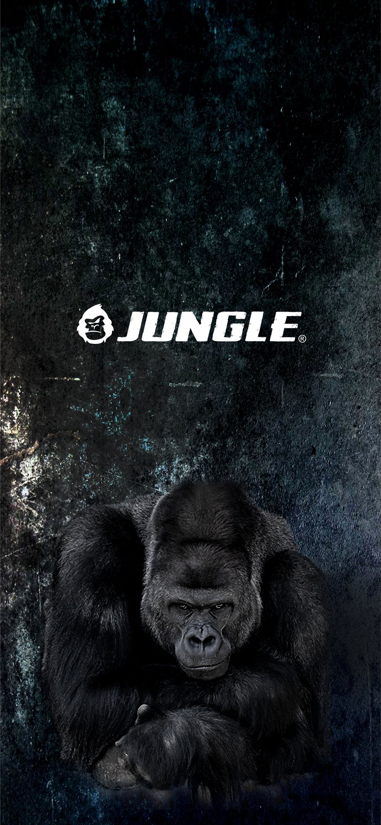 Cool Gorilla Wallpapers