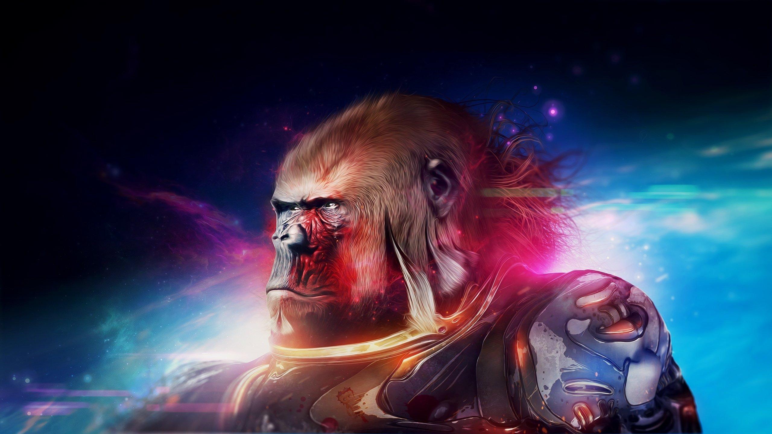 Cool Gorilla Wallpapers