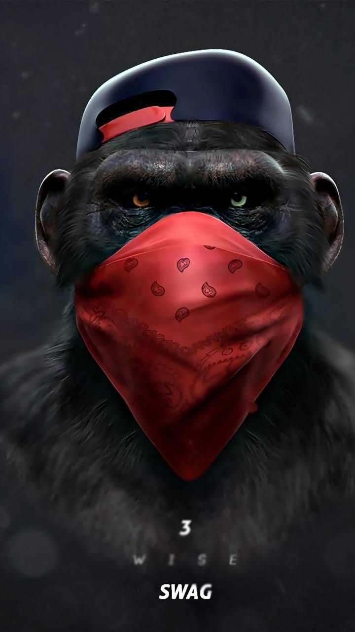 Cool Gorilla Wallpapers