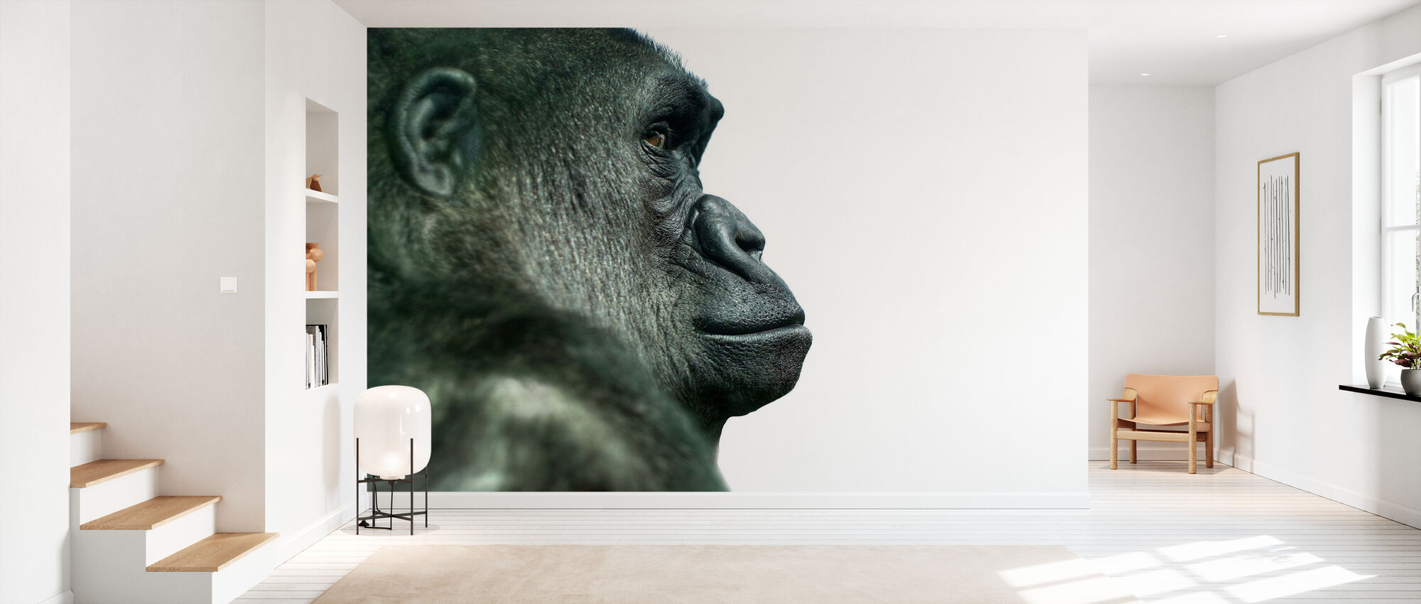 Cool Gorilla Wallpapers