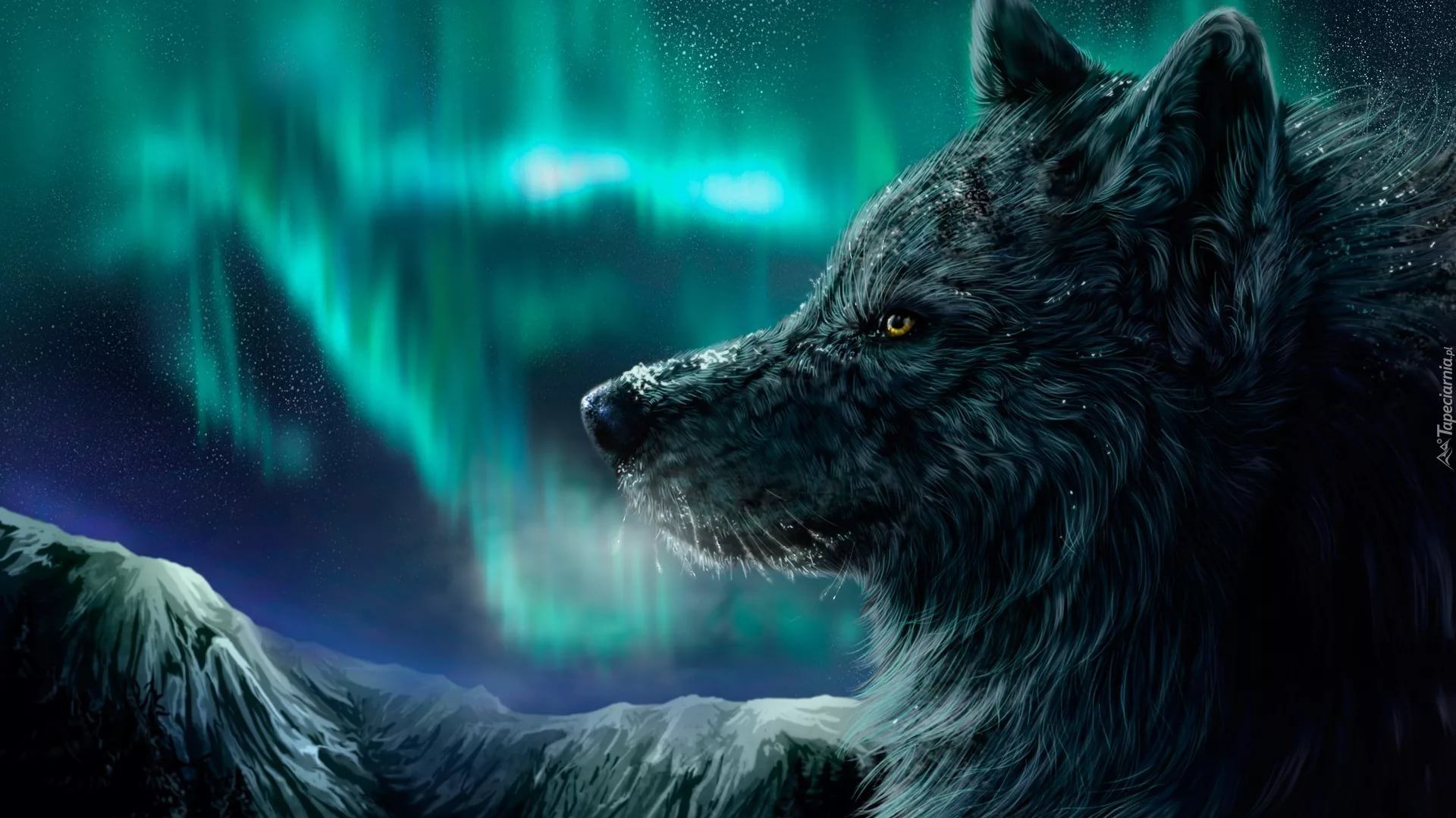 Cool Green Wolf Wallpapers