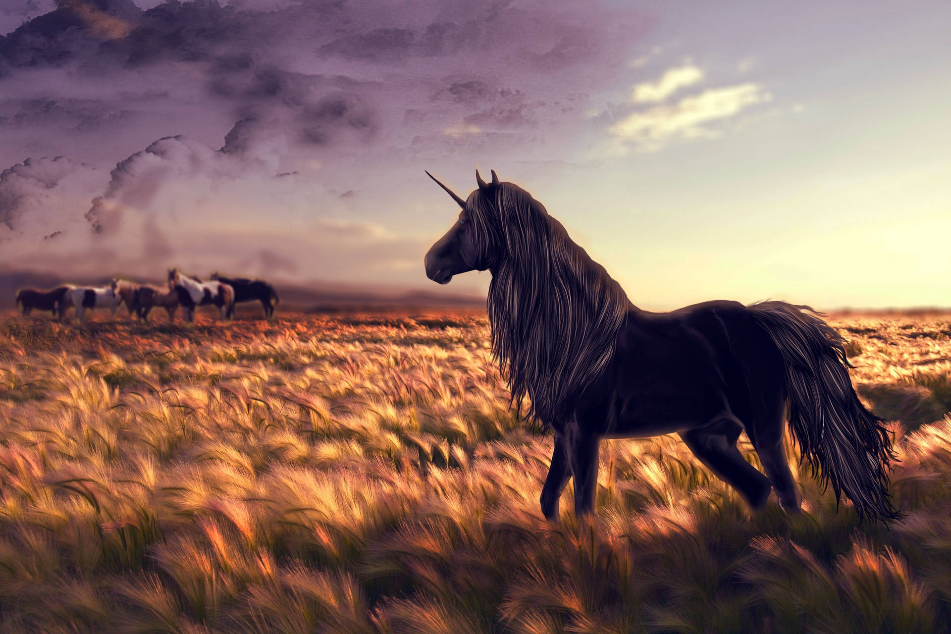 Cool Horse Wallpapers