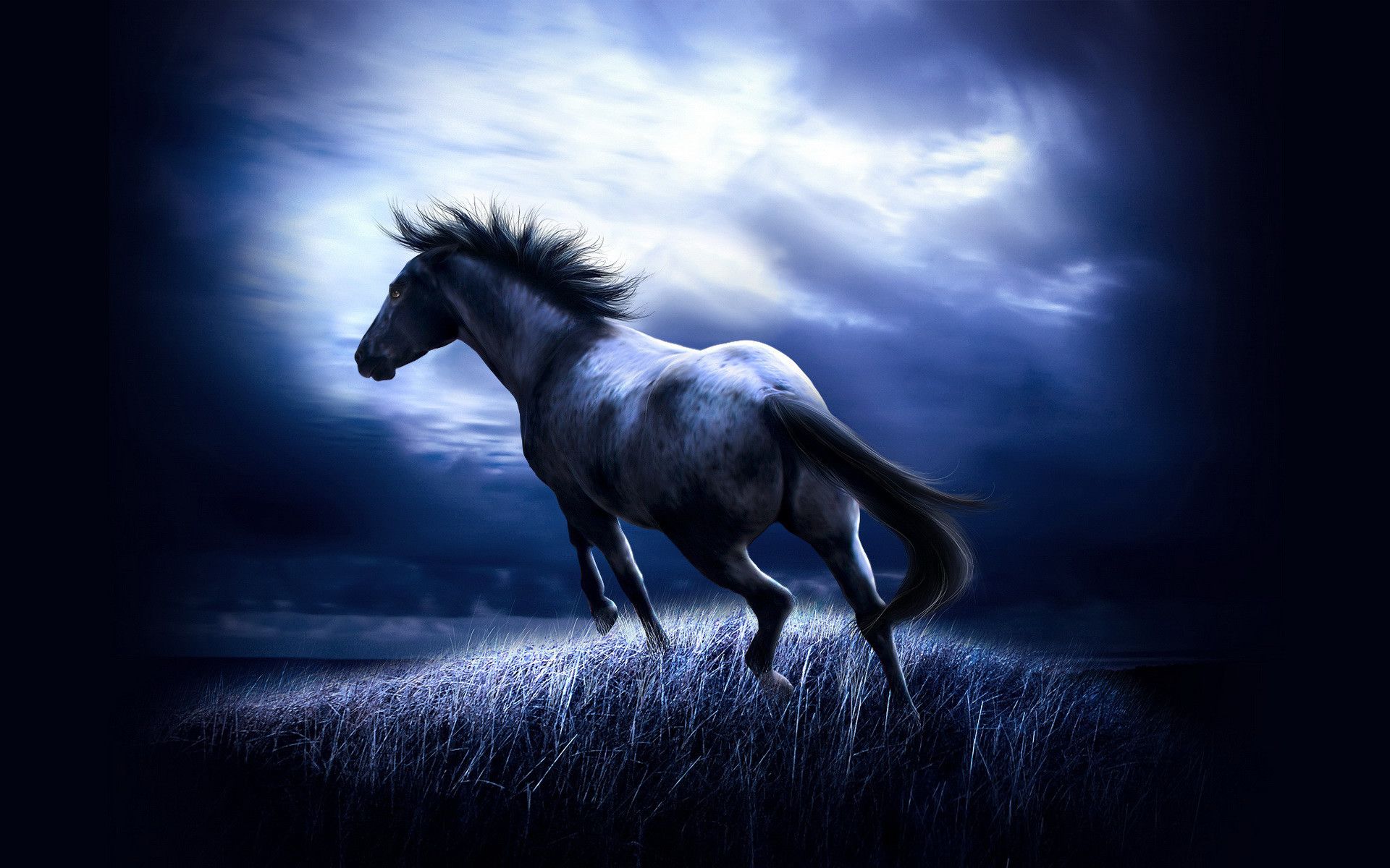 Cool Horse Desktop Wallpapers