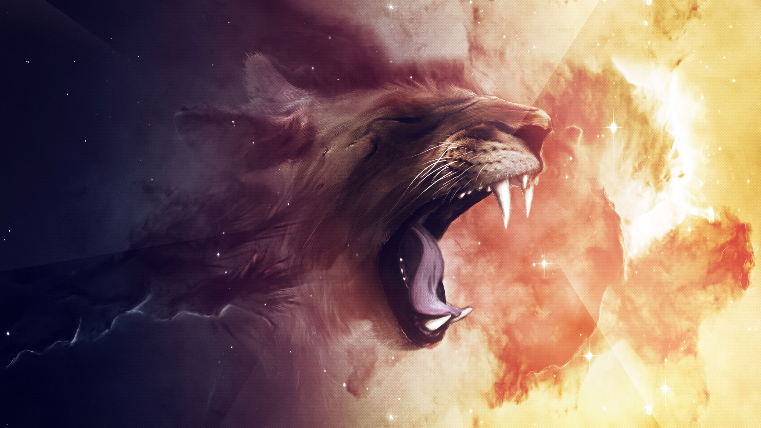 Cool Lion Galaxy Wallpapers