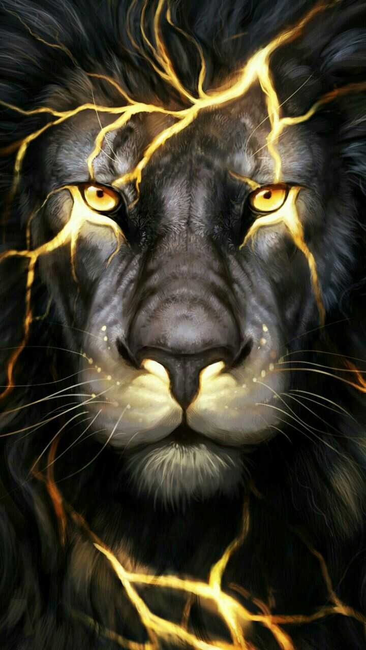 Cool LionWallpapers