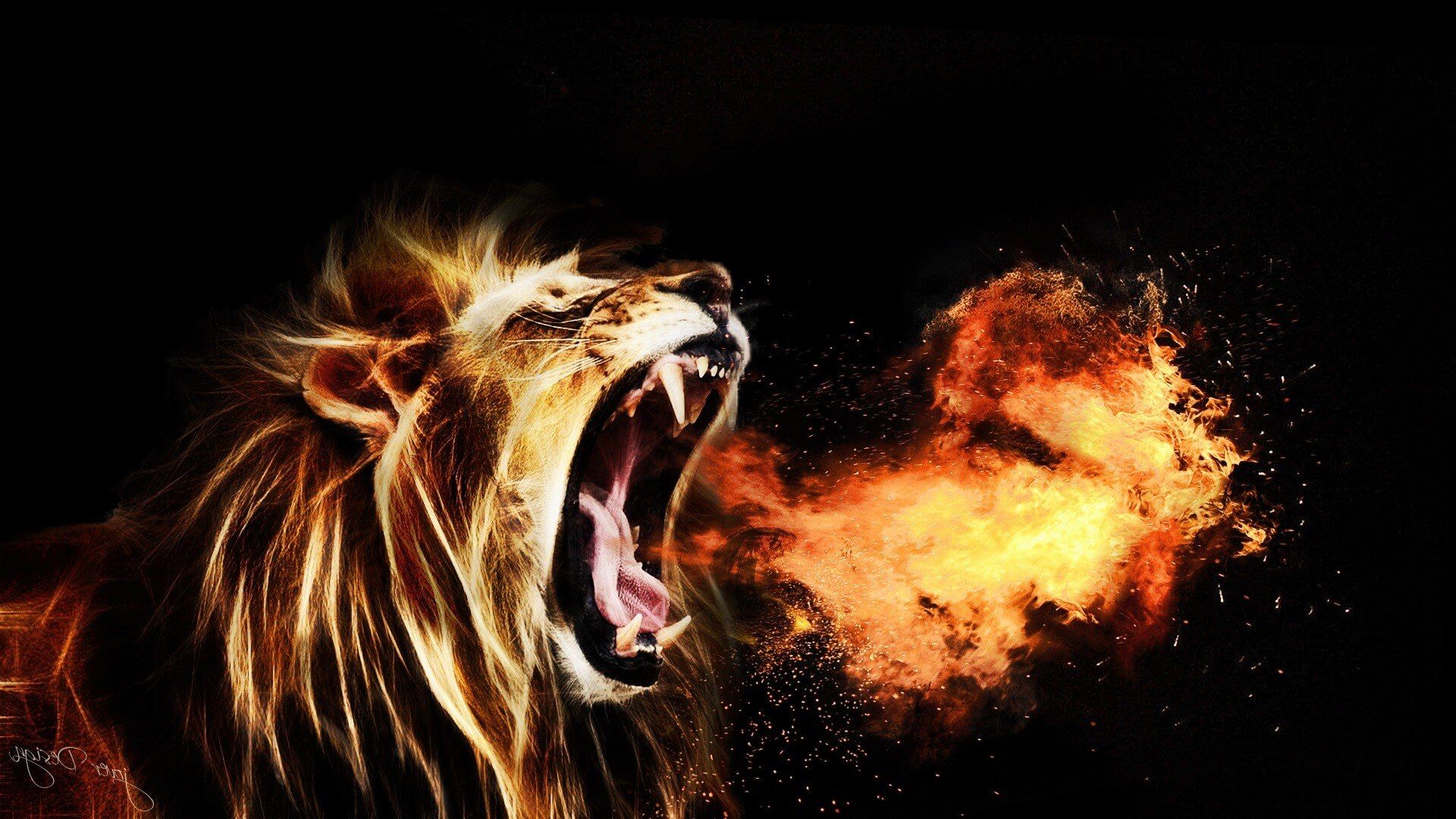 Cool LionWallpapers