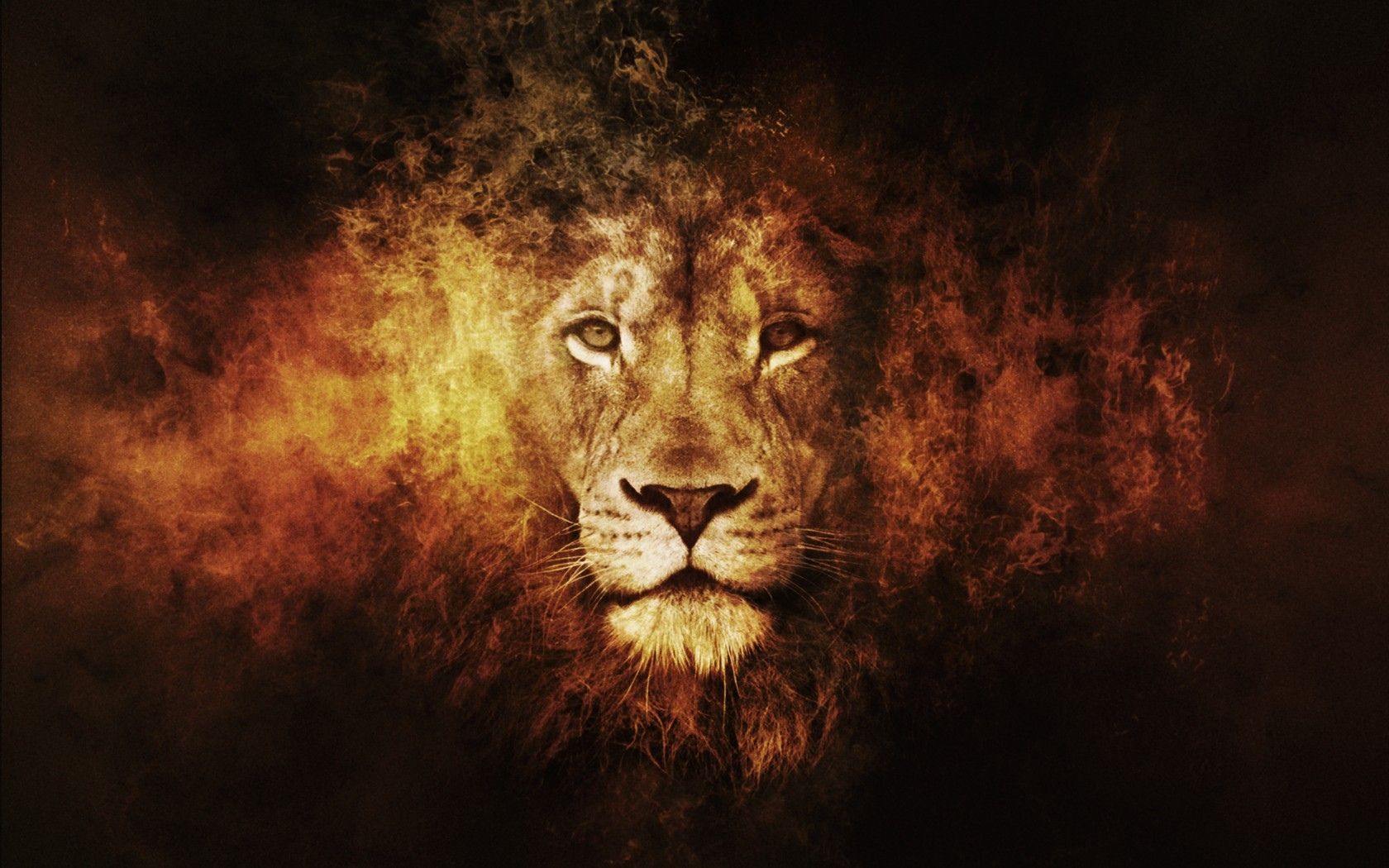 Cool LionWallpapers