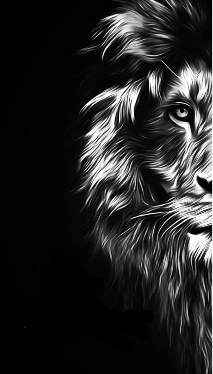 Cool LionWallpapers