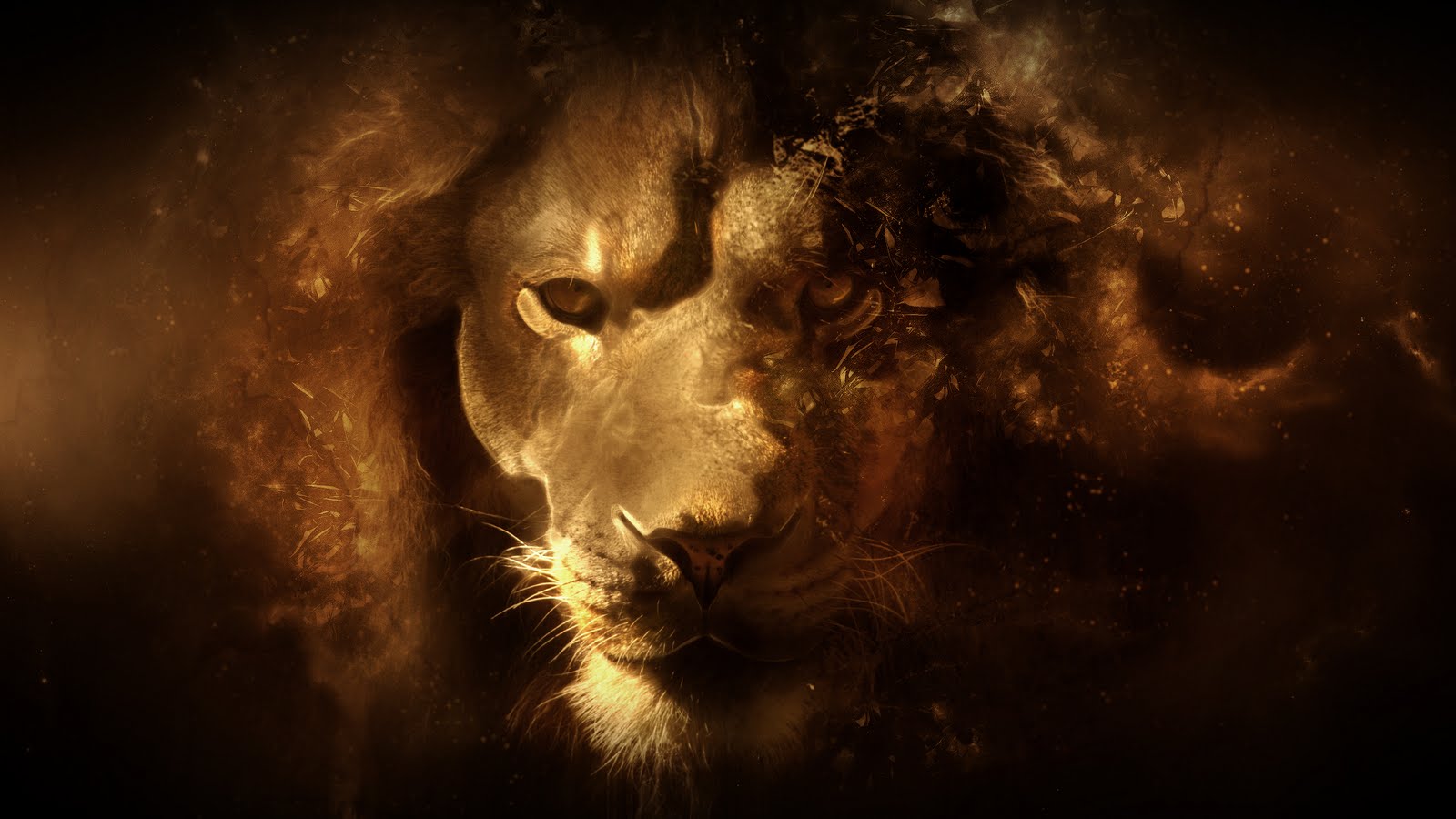 Cool LionWallpapers