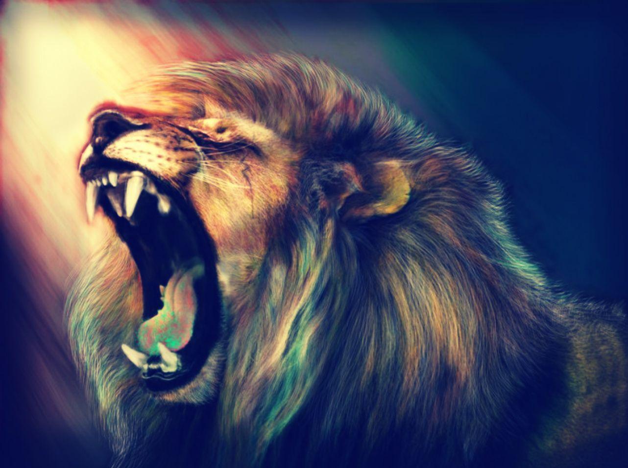 Cool LionWallpapers