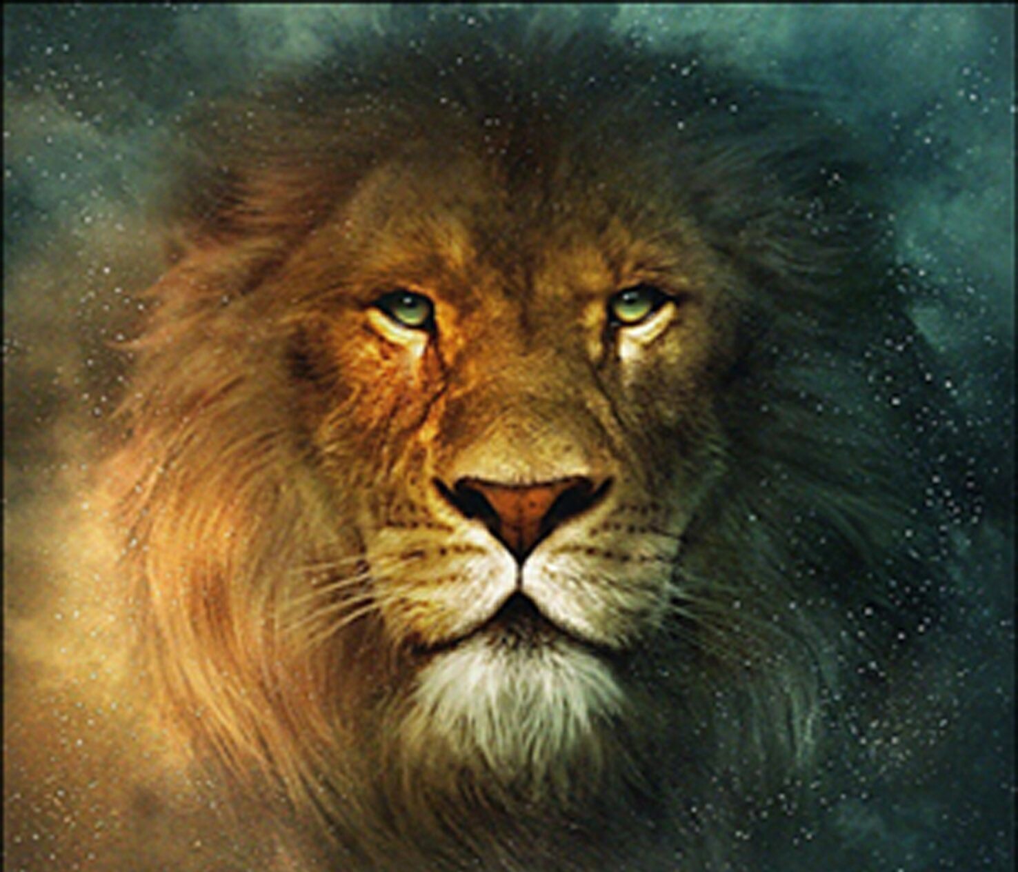 Cool LionWallpapers