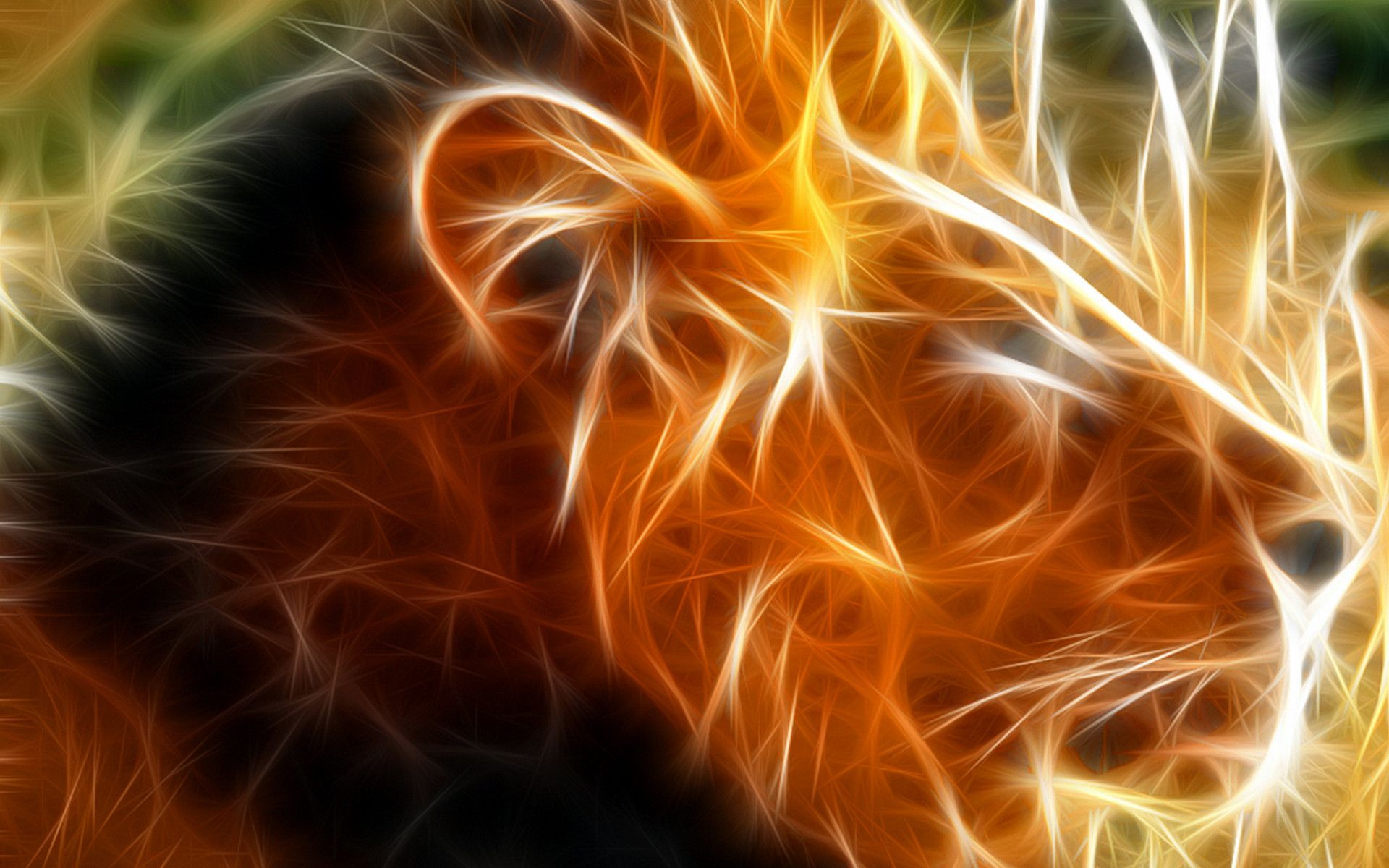 Cool LionWallpapers