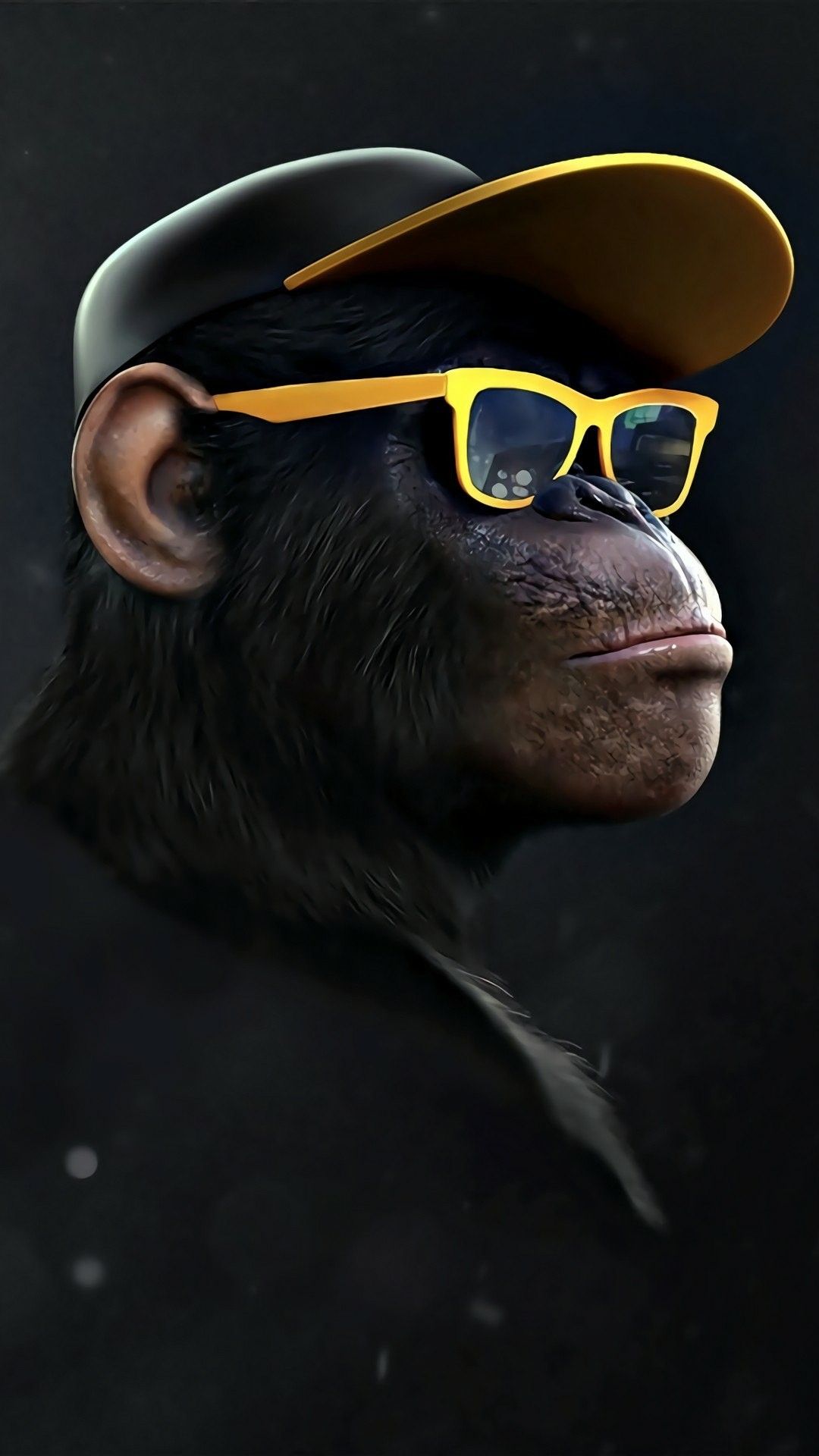 Cool MonkeyWallpapers