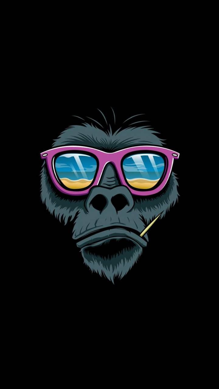 Cool MonkeyWallpapers