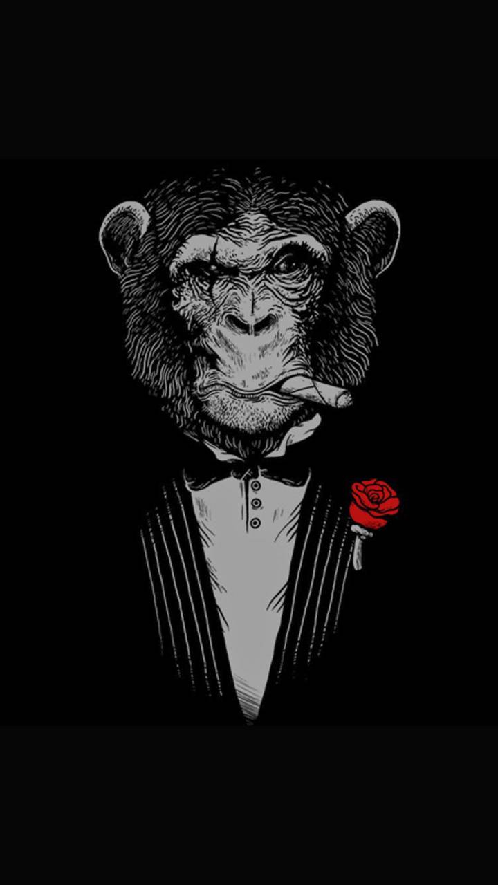 Cool MonkeyWallpapers