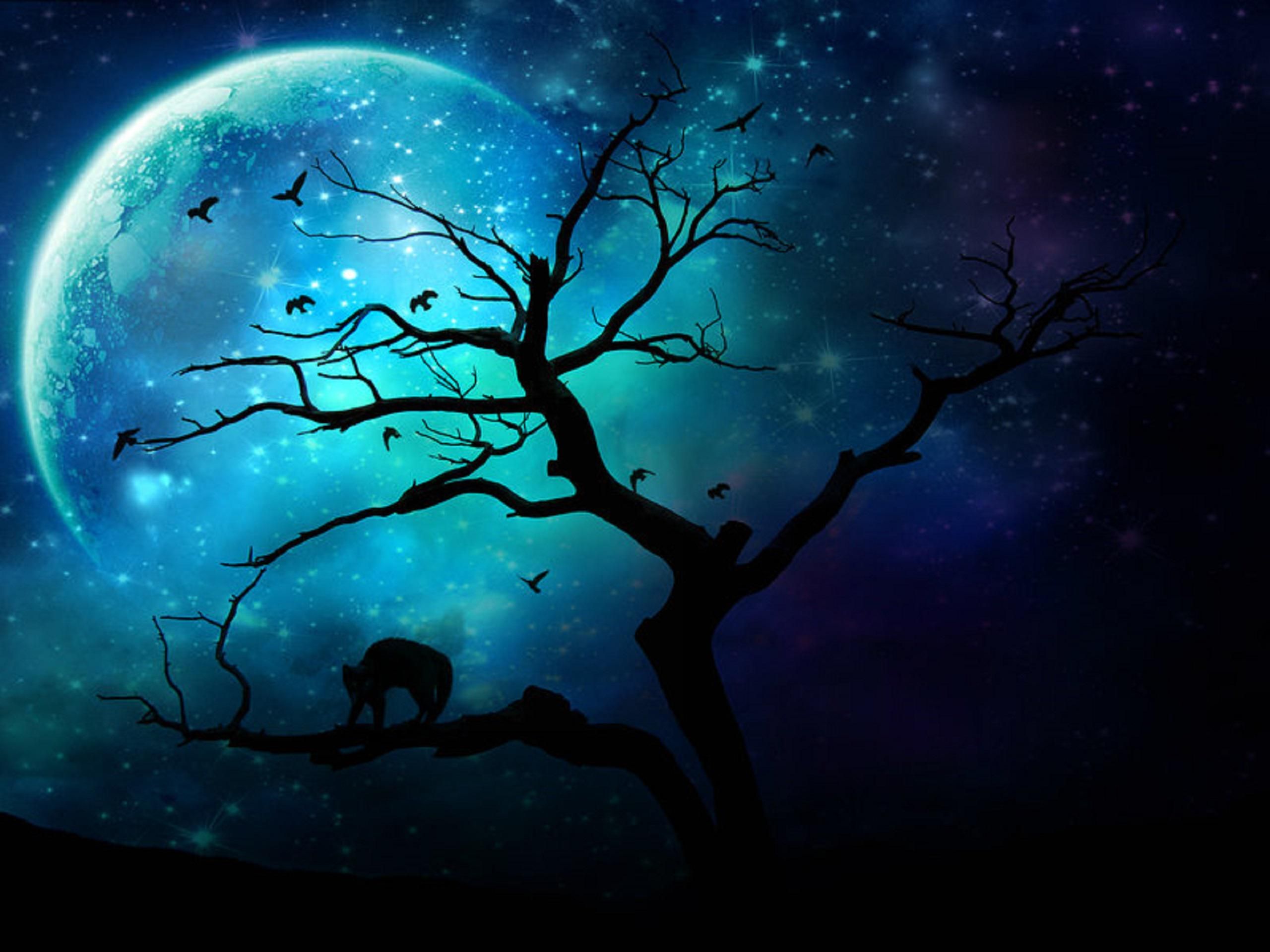 Cool Moon Wallpapers