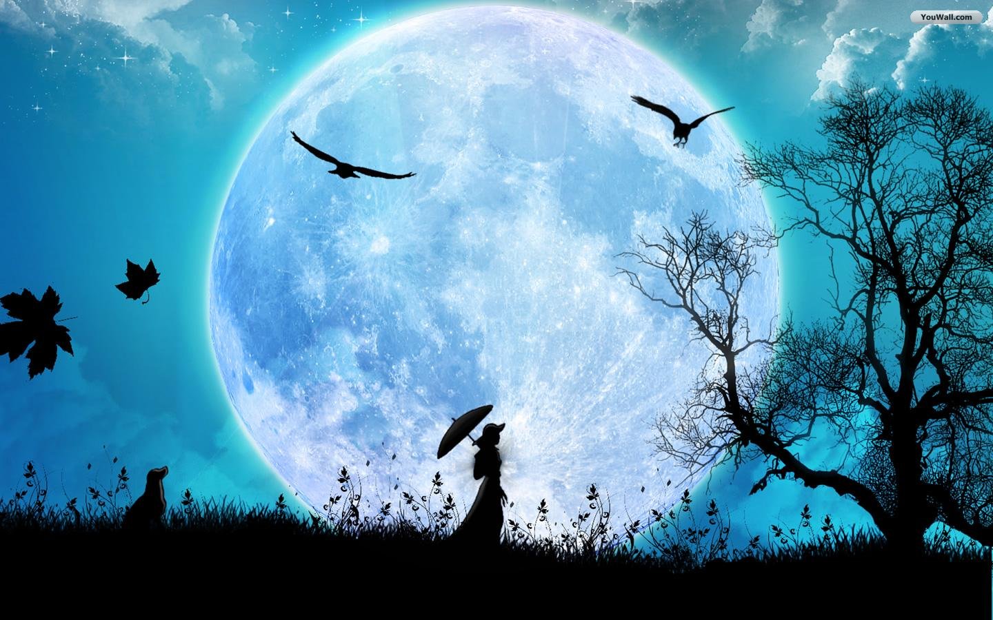 Cool Moon Wallpapers